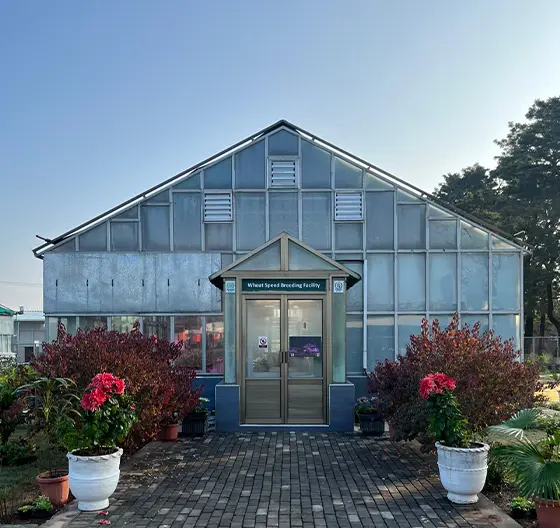 Smart Automated Greenhouse