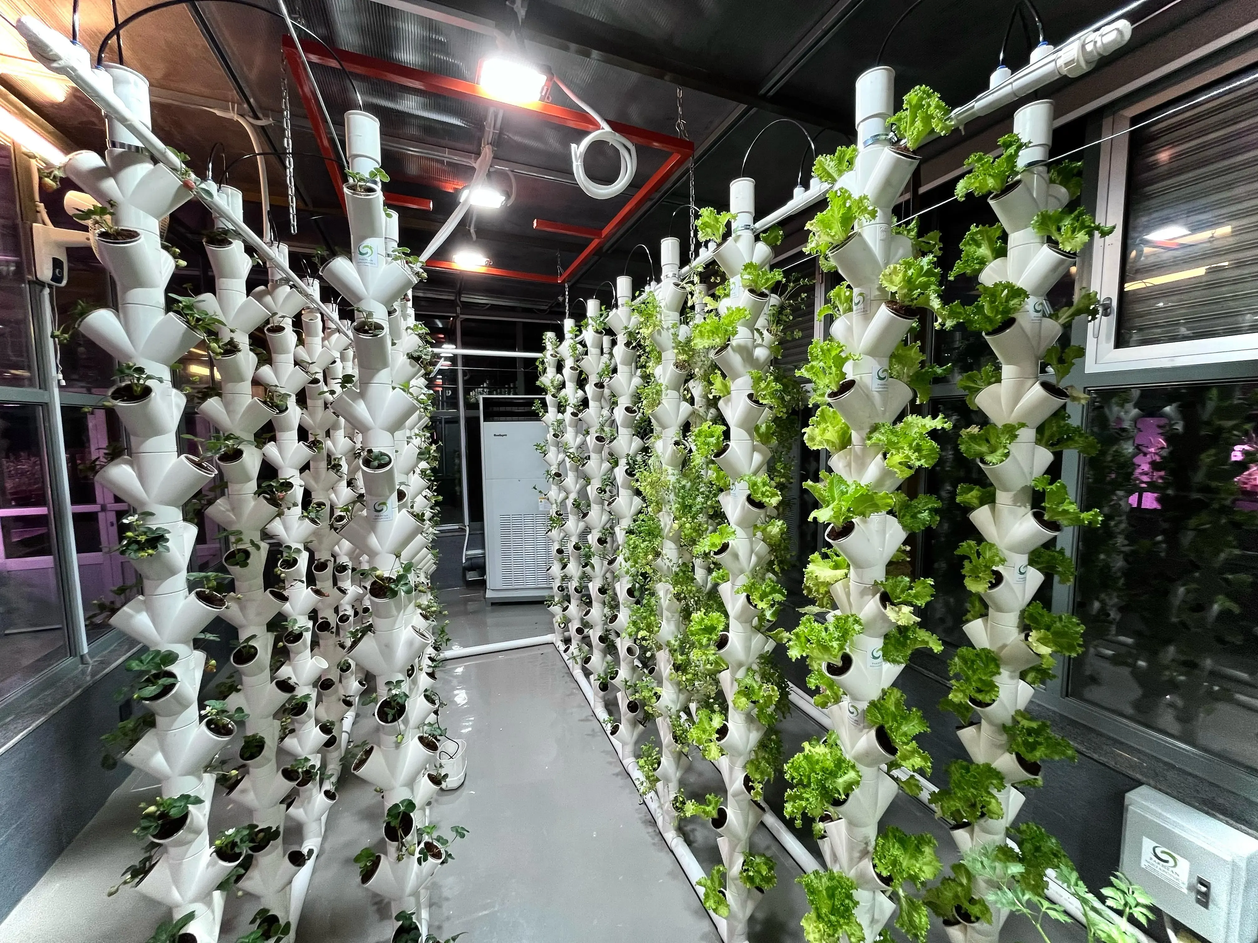 Automated Heating & Cooling
