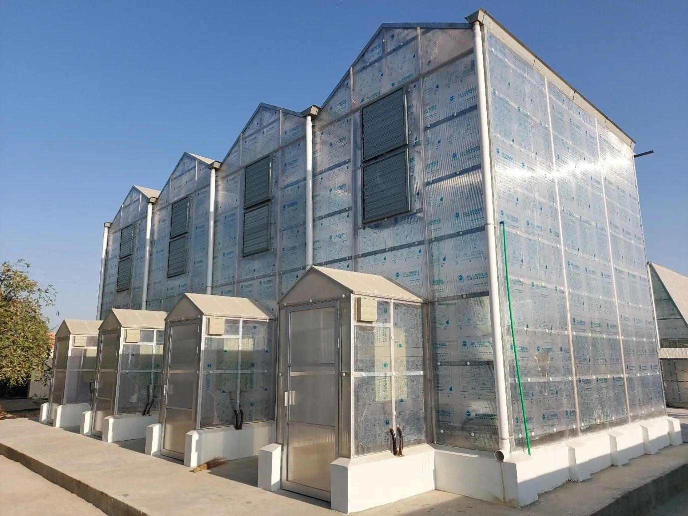 Greenhouse 3