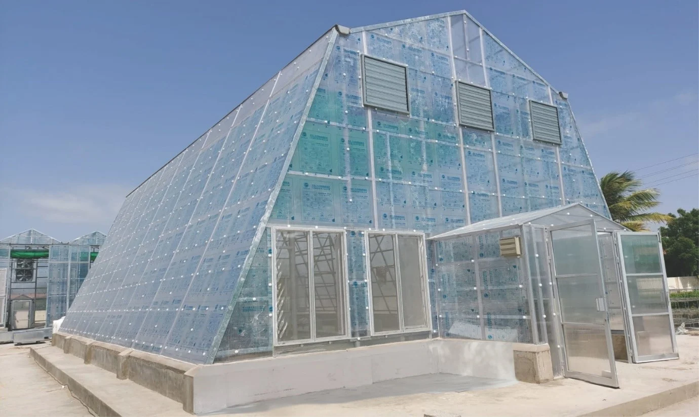 Greenhouse 1