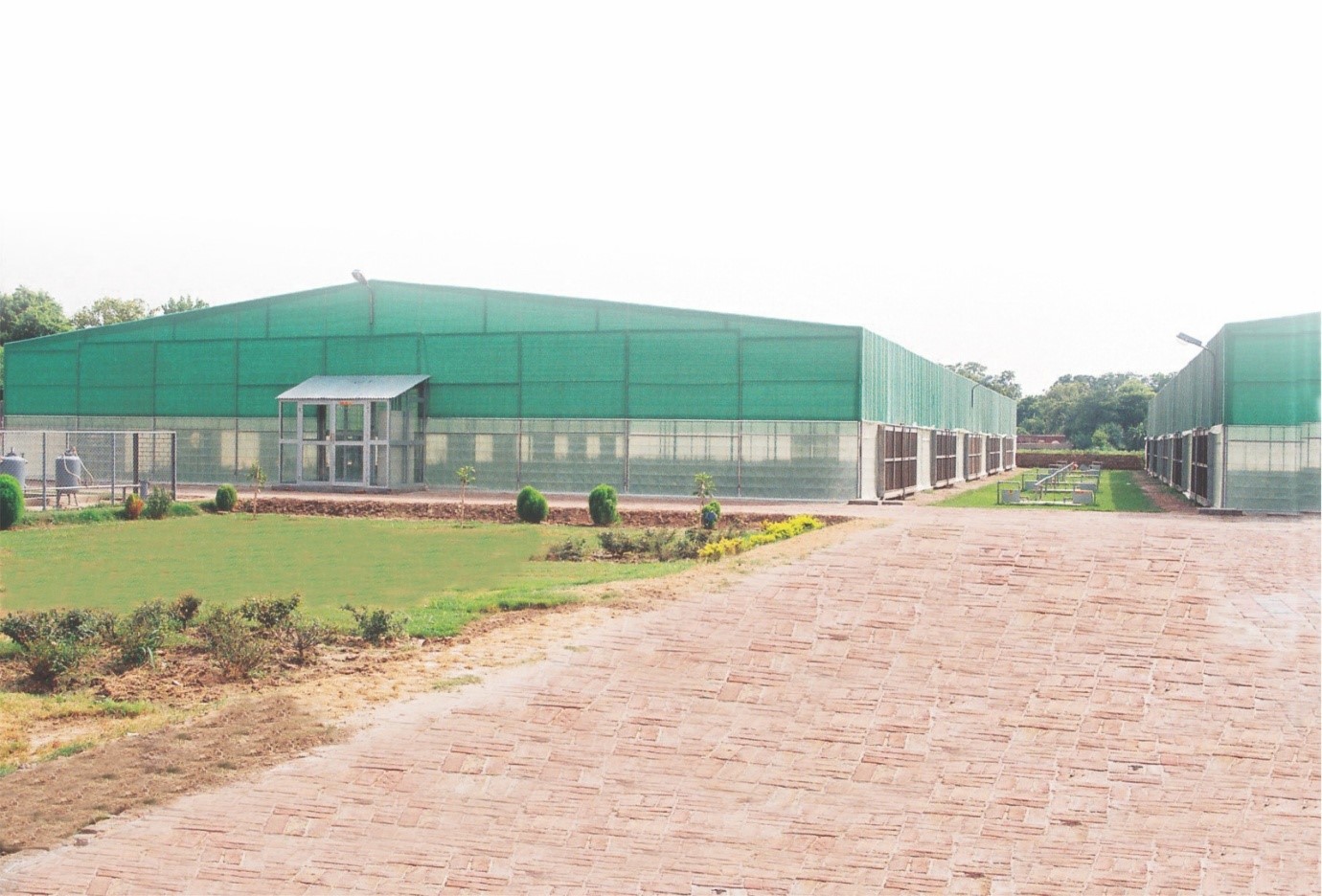 Greenhouse 4
