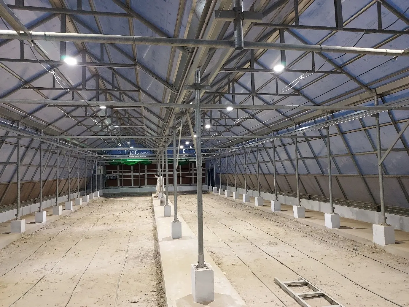 Greenhouse 5