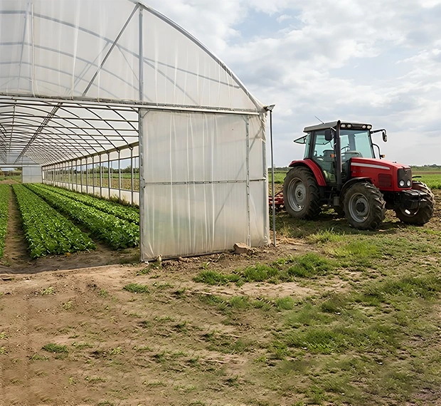 Farmer working in greenhouse